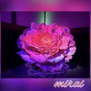 ヒメ日記 2025/03/15 10:01 投稿 みらい モアグループ川越人妻花壇