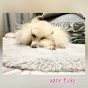 ヒメ日記 2025/03/17 15:12 投稿 みらい モアグループ川越人妻花壇