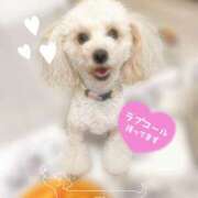 ヒメ日記 2025/03/24 14:04 投稿 みらい モアグループ川越人妻花壇