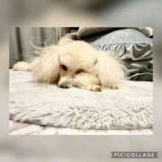 ヒメ日記 2025/07/14 15:22 投稿 みらい モアグループ川越人妻花壇