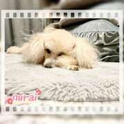 ヒメ日記 2025/08/16 12:36 投稿 みらい モアグループ川越人妻花壇