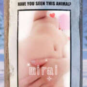 ヒメ日記 2026/01/16 08:10 投稿 みらい モアグループ川越人妻花壇