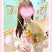 ヒメ日記 2026/05/01 08:10 投稿 みらい モアグループ川越人妻花壇
