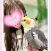 ヒメ日記 2026/05/05 08:10 投稿 みらい モアグループ川越人妻花壇