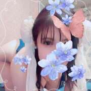 ヒメ日記 2024/12/24 11:36 投稿 ミイ ヴィーナス(金津園)