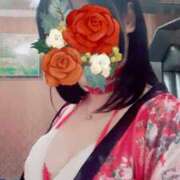 ヒメ日記 2025/02/15 12:19 投稿 ミイ ヴィーナス(金津園)