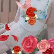 ヒメ日記 2025/02/16 19:19 投稿 ミイ ヴィーナス(金津園)