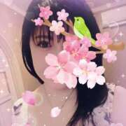 ヒメ日記 2025/03/20 10:48 投稿 ミイ ヴィーナス(金津園)