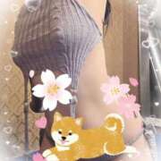 ヒメ日記 2025/04/06 10:27 投稿 ミイ ヴィーナス(金津園)