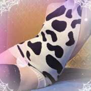 ヒメ日記 2025/10/16 11:06 投稿 ミイ ヴィーナス(金津園)