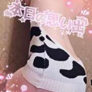 ヒメ日記 2025/10/16 17:48 投稿 ミイ ヴィーナス(金津園)