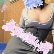 ヒメ日記 2025/11/14 20:15 投稿 ミイ ヴィーナス(金津園)