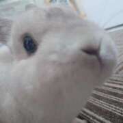 ヒメ日記 2025/12/30 13:18 投稿 ミイ ヴィーナス(金津園)