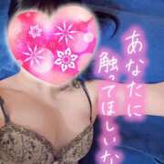 ヒメ日記 2026/01/19 07:48 投稿 ミイ ヴィーナス(金津園)