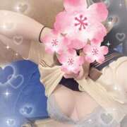 ヒメ日記 2026/02/18 10:12 投稿 ミイ ヴィーナス(金津園)