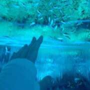 ヒメ日記 2026/09/05 11:11 投稿 ミイ ヴィーナス(金津園)