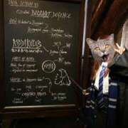 ヒメ日記 2024/12/30 09:30 投稿 西浦ひより Club Shangrila（クラブシャングリラ）