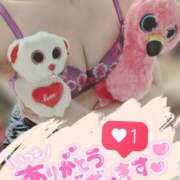 ヒメ日記 2025/03/06 10:19 投稿 西浦ひより Club Shangrila（クラブシャングリラ）