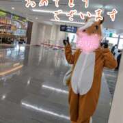 ヒメ日記 2026/01/05 10:08 投稿 西浦ひより Club Shangrila（クラブシャングリラ）