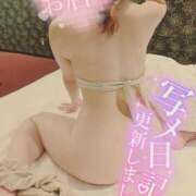 ヒメ日記 2026/01/21 11:39 投稿 西浦ひより Club Shangrila（クラブシャングリラ）