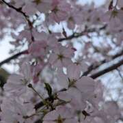 ヒメ日記 2026/04/14 09:55 投稿 西浦ひより Club Shangrila（クラブシャングリラ）