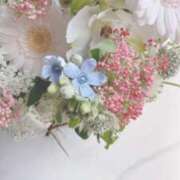 ヒメ日記 2025/02/08 07:36 投稿 ほなみ マリン千姫