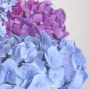 ヒメ日記 2025/06/27 09:56 投稿 ほなみ マリン千姫