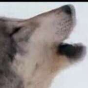 ヒメ日記 2025/06/26 05:24 投稿 八神 和香 ＡＸ痴女フェチクラブ