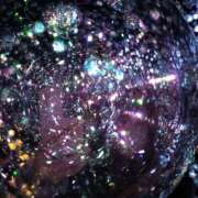 ヒメ日記 2025/05/06 17:21 投稿 白河　りこ 昼下がりの情事