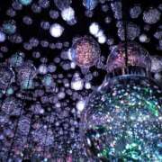 ヒメ日記 2025/12/13 19:05 投稿 白河　りこ 昼下がりの情事