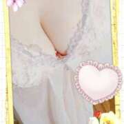 ヒメ日記 2026/04/10 11:49 投稿 白河　りこ 昼下がりの情事