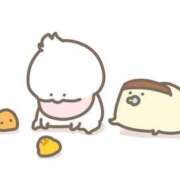 ヒメ日記 2026/04/11 18:31 投稿 白河　りこ 昼下がりの情事