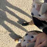 ヒメ日記 2025/03/05 17:31 投稿 せいら★Ｇカッププレミア看板娘 BEPPIN SELECTION 京都 ～べっぴんセレクション～