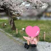 ヒメ日記 2025/05/20 06:26 投稿 せいら★Ｇカッププレミア看板娘 BEPPIN SELECTION 京都 ～べっぴんセレクション～