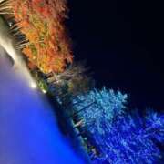 ヒメ日記 2025/10/12 19:18 投稿 せいら★Ｇカッププレミア看板娘 BEPPIN SELECTION 京都 ～べっぴんセレクション～