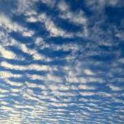 ヒメ日記 2025/09/03 09:15 投稿 みなこ 梅田アバンチュール