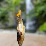 ヒメ日記 2025/10/23 09:13 投稿 みなこ 梅田アバンチュール