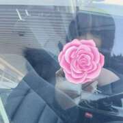 いおり てきとう ケープエンジェル