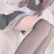 ヒメ日記 2025/12/11 20:00 投稿 銀姫/うに プロフィール姫路