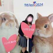 はるちゃん こんにちは🐇 クリスタルルーム