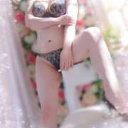 ヒメ日記 2026/04/01 17:06 投稿 きせ 小田原人妻城