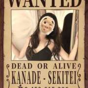 ヒメ日記 2025/09/03 15:00 投稿 かなで 角海老石亭