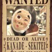 ヒメ日記 2025/10/29 15:00 投稿 かなで 角海老石亭