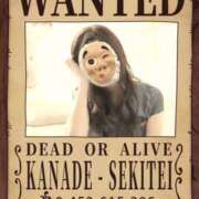 ヒメ日記 2025/11/19 15:00 投稿 かなで 角海老石亭