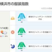 ヒメ日記 2025/11/14 06:30 投稿 かなで 角海老石亭
