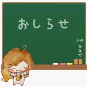 ヒメ日記 2025/11/17 16:30 投稿 かなで 角海老石亭