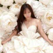 ヒメ日記 2025/11/19 17:00 投稿 かなで 角海老石亭