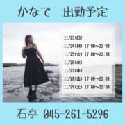 ヒメ日記 2025/11/25 15:00 投稿 かなで 角海老石亭