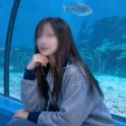 ヒメ日記 2025/11/23 08:30 投稿 かなで 角海老石亭