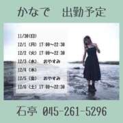 ヒメ日記 2025/12/02 15:00 投稿 かなで 角海老石亭